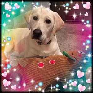 Meet your Posher, Anne-marie